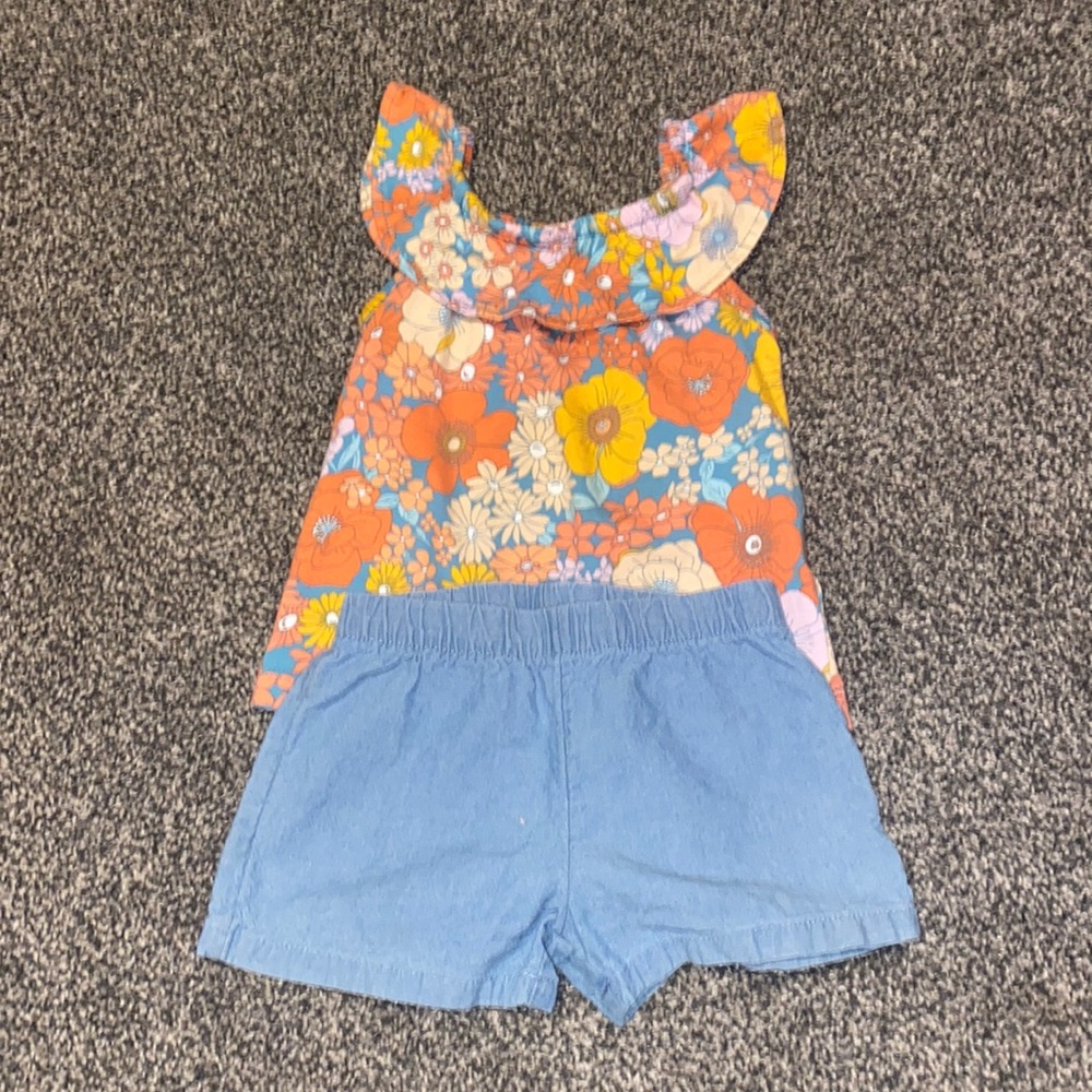 Lot of 18 months Carters baby girl clothes.